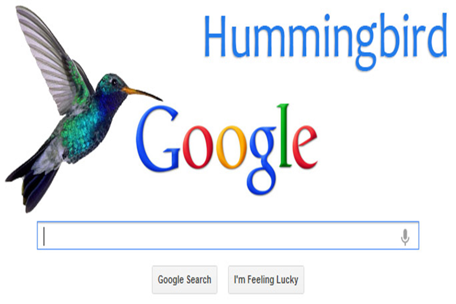 hummingbir-1