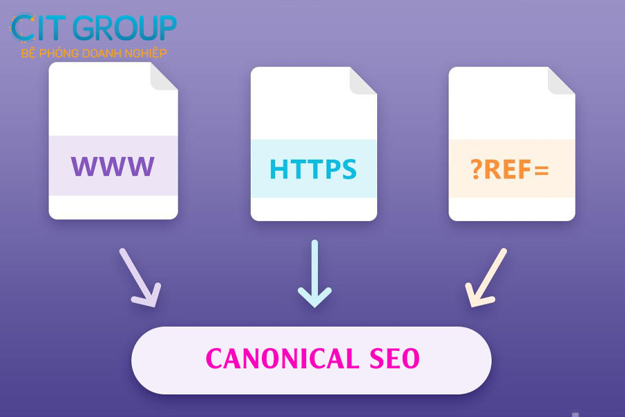 canonical-seo-la-gi