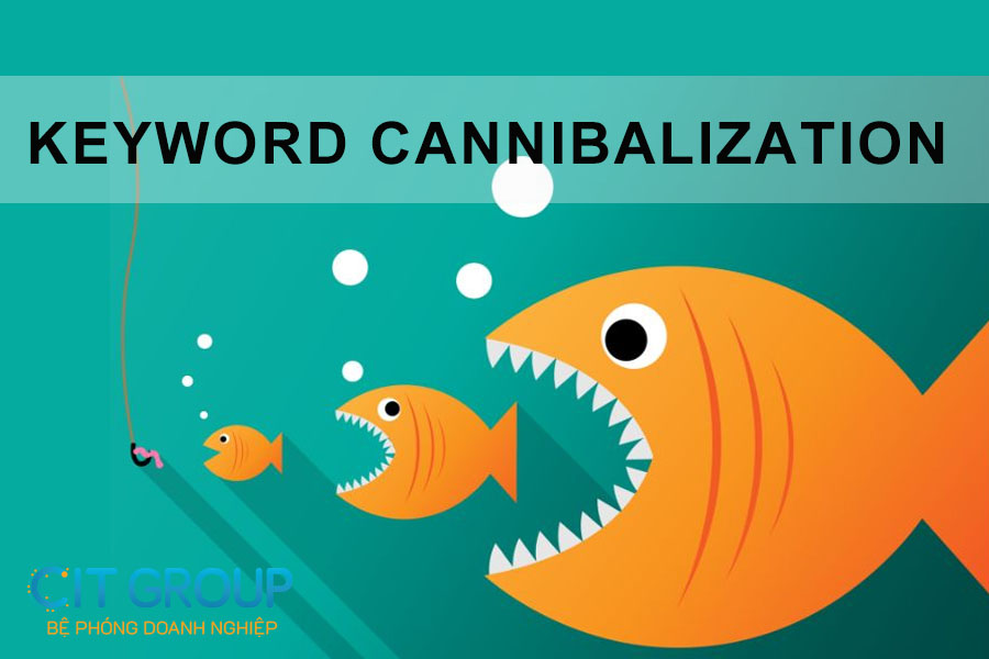 keyword-cannibalization-la-gi